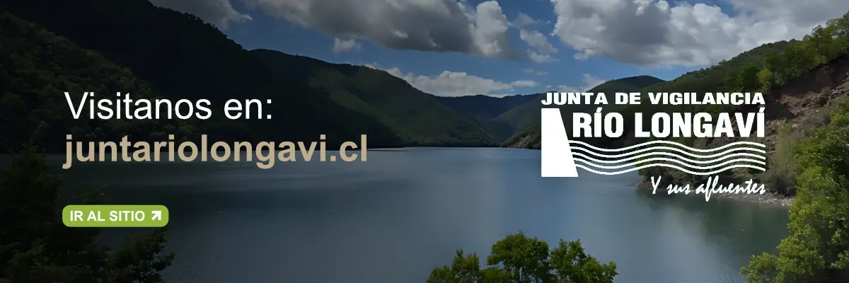 Visítanos en juntariolongavi.cl